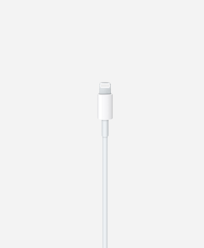 Câble USB-C vers Lightning (1 m) apple